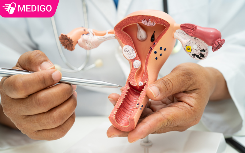 Kham-phu-khoa-la-gi-va-ly-do-tai-sao-can-thiet-phai-thuc-hien-kham-dinh-ky