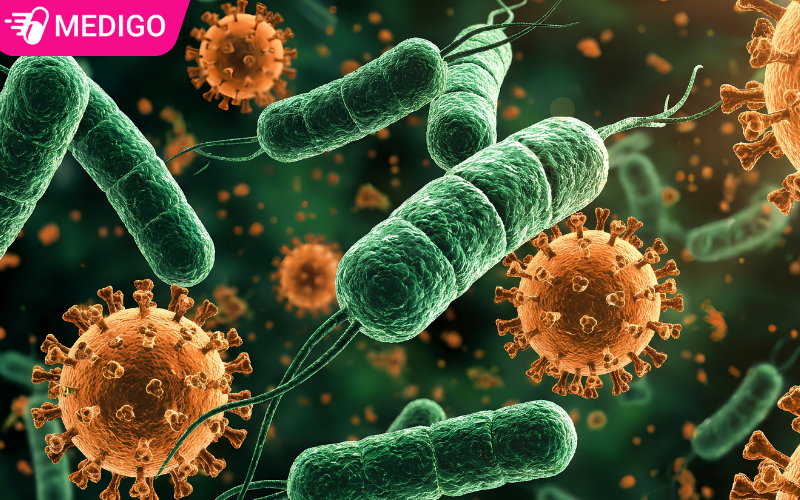 Vi-khuan-lau-Neisseria-gonorrhoeae-tan-cong-vung-kin-nhu-the-nao
