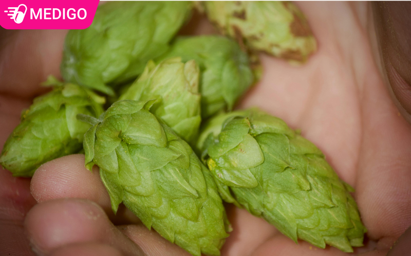 Non-hoa-bia-tuoi-–-bo-phan-dung-lam-duoc-lieu-va-nguyen-lieu-san-xuat-bia