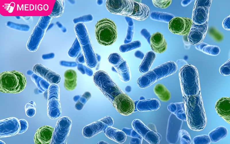 Lợi khuẩn đường ruột: Bí mật để hệ tiêu hóa khỏe