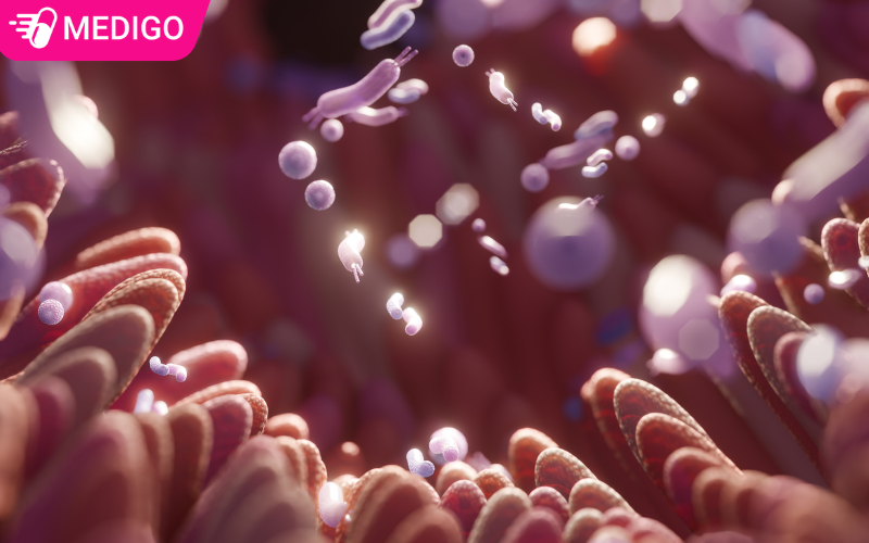 loi-khuan-hoat-dong-tich-cuc-trong-duong-ruot-de-ho-tro-tieu-hoa