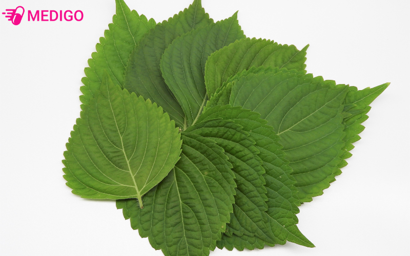 loi-khuyen-khi-su-dung-rau-mo