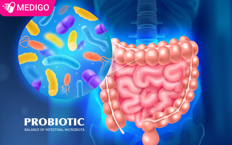 men-vi-sinh-giup-co-the-can-bang-he-sinh-sinh-duong-ruot