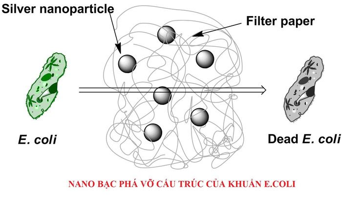 nano bạc