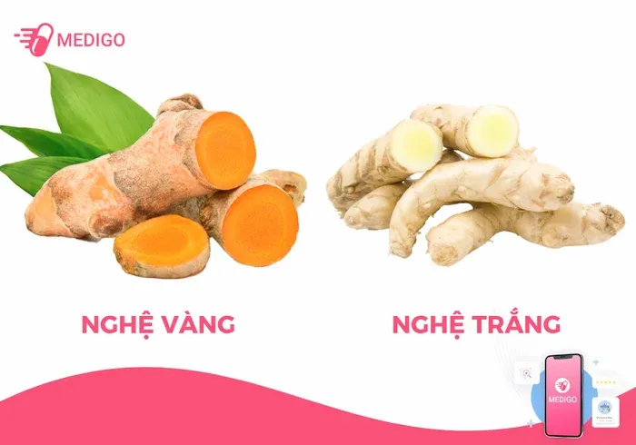 nghệ trắng và nghệ vàng nghệ nào tốt hơn