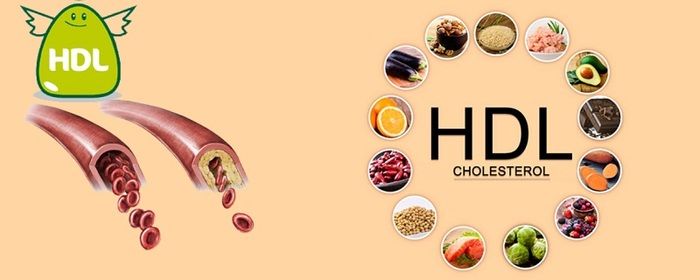 nguyên nhân hdl cholesterol thấp