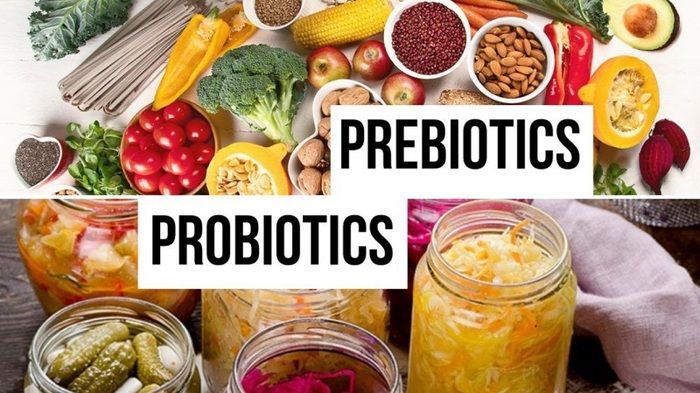 Sự khác nhau giữa Probiotics và Prebiotics