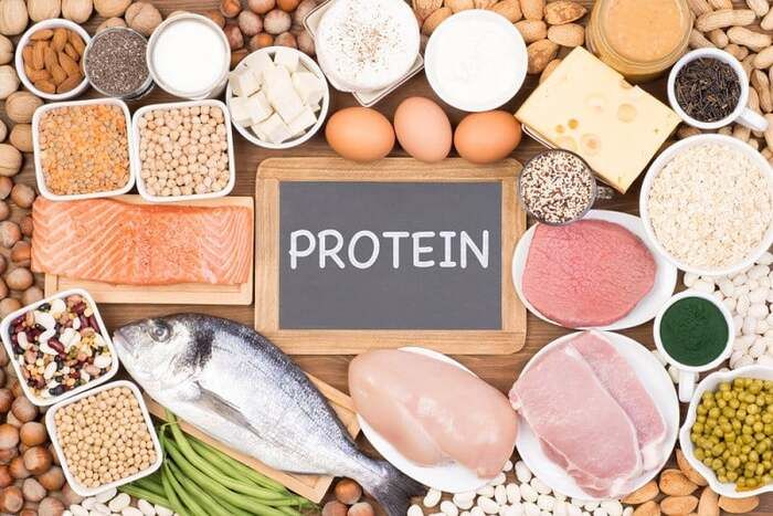 protein