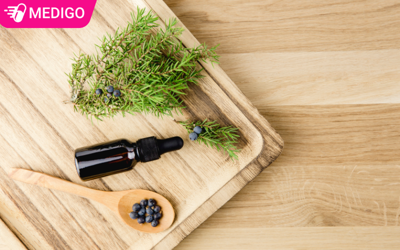 qua-cay-bach-xu-dung-lam-gia-vi-va-cham-soc-sac-dep