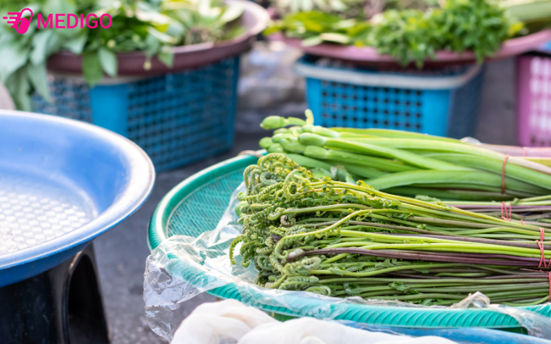 rau-don-danh-phap-khoa-hoc-la-diplazium-esculentum