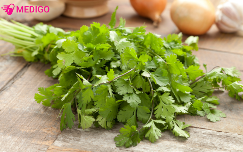 rau-mui-coriandrum-sativum-l-giup-chua-cac-chung-roi-loan-tieu-hoa