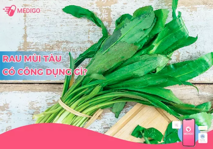 Lá mùi tàu - bài thuốc thiên nhiên mang lại nhiều tác dụng tuyệt vời