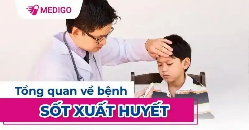 Sốt xuất huyết Dengue: Nguyên nhân, triệu chứng và phòng ngừa