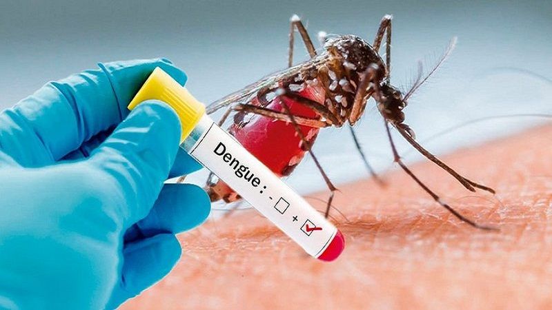 Sốt xuất huyết Dengue