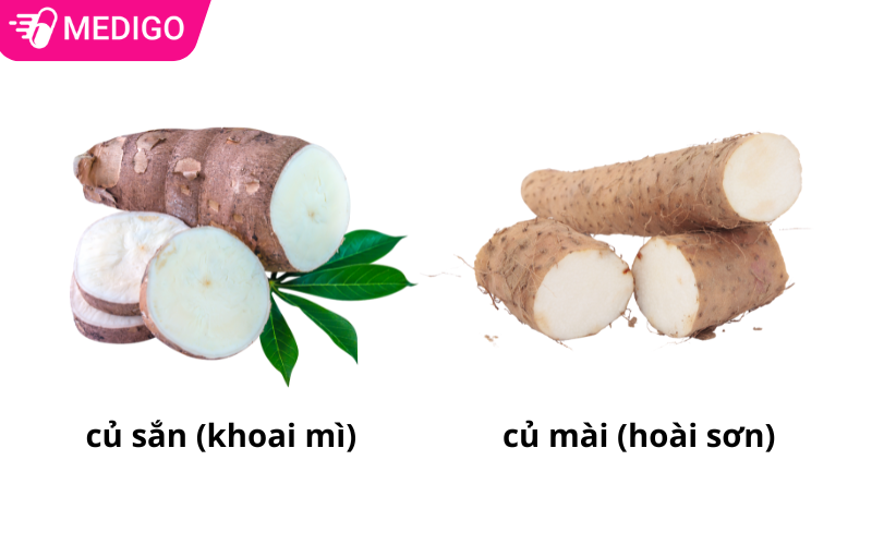 su-khac-nhau-giua-cu-san-va-hoai-son