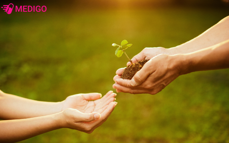 Cẩm nang tư vấn sức khỏe mùa mưa