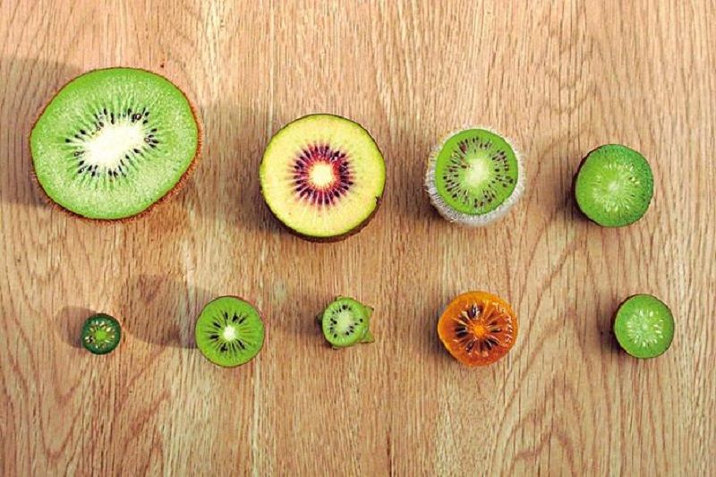 ăn kiwi có tác dụng gì