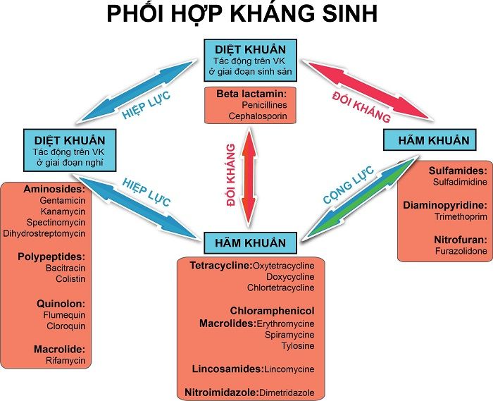 thuốc kháng sinh có tác dụng gì