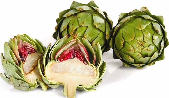 thảo dươc dưỡng da hoa atiso