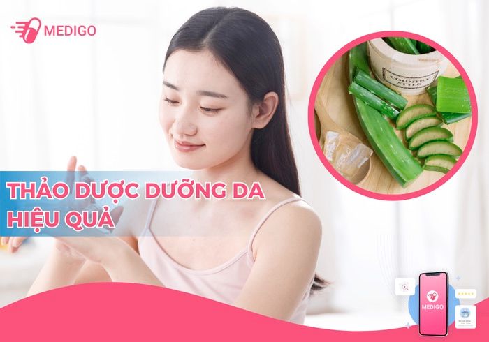 Những loại thảo dược dưỡng da phổ biến và hiệu quả