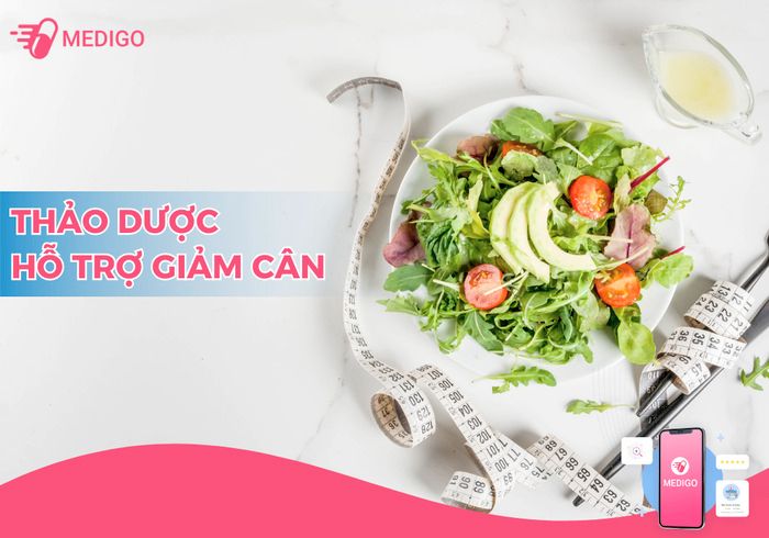 thảo dược giảm cân