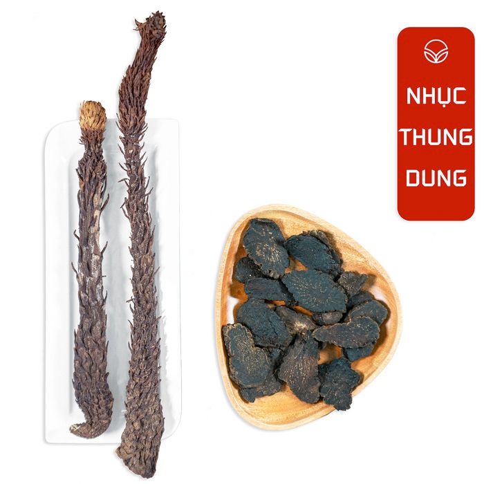 nhục thung dung tăng sinh lý