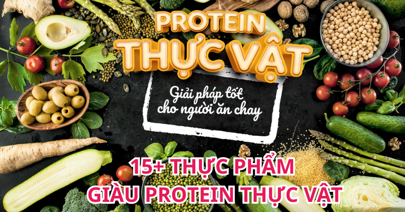 Top 18+ thực phẩm giàu Protein thực vật tốt nhất