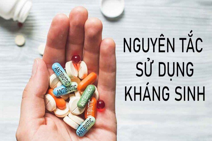 Thuốc kháng sinh viêm đường tiết niệu: Tác dụng, nguyên tắc và lưu ý