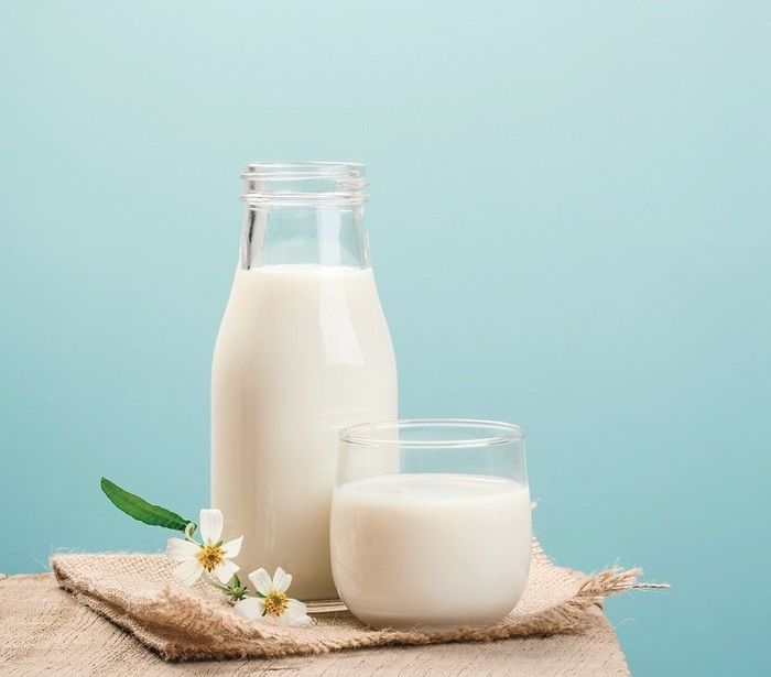 thuốc kháng sinh có pha với sữa được không