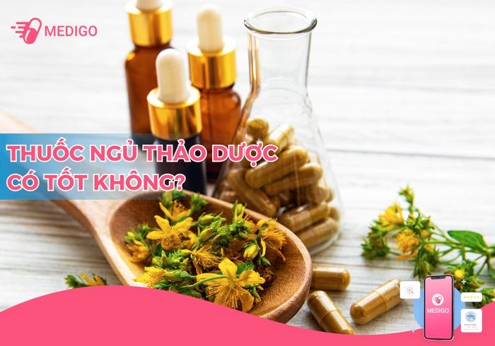 Thuốc ngủ thảo dược là gì? Lưu ý gì khi sử dụng