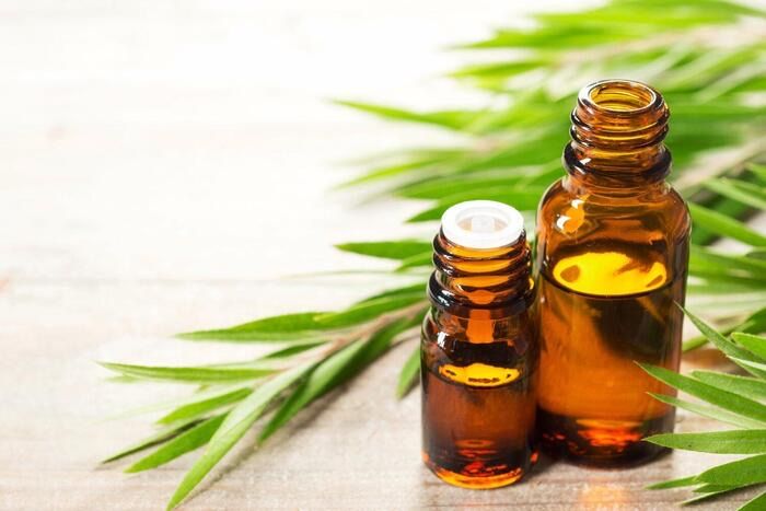 cách dùng tinh dầu tràm trà trị mụn