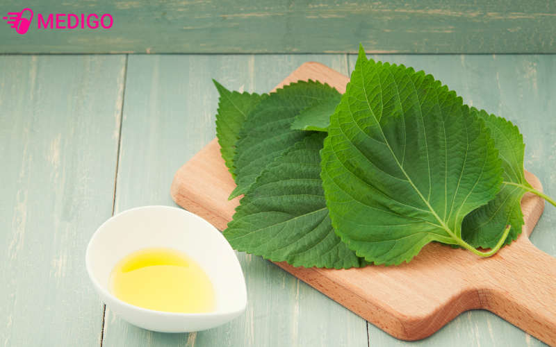 trong-dan-gian-rau-mo-dung-chua-cac-benh-tieu-hoa-thong-thuong