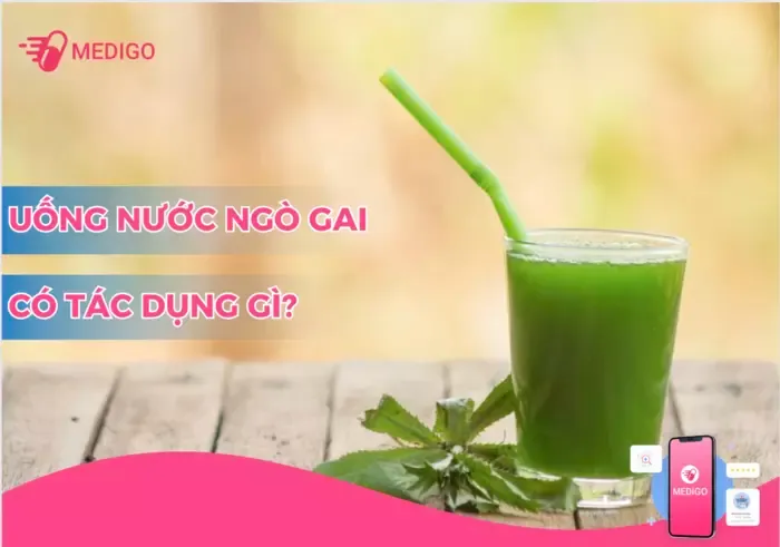 Uống nước ngò gai có tác dụng gì? 