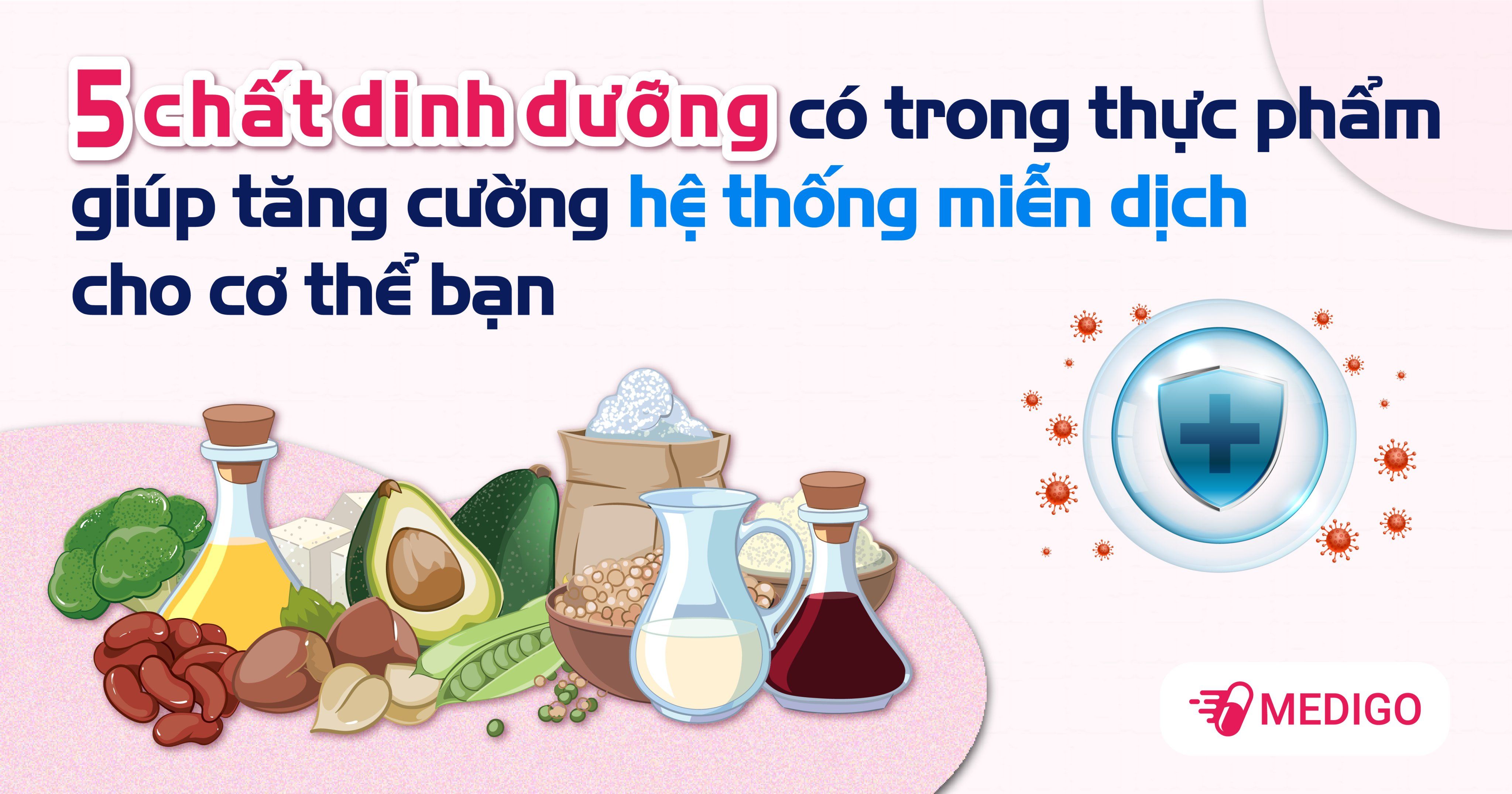 5 chất dinh dưỡng có trong thực phẩm giúp tăng cường hệ thống miễn dịch cho cơ thể bạn